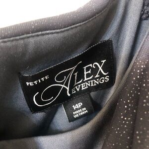 Alex Evenings Navy Sparkly Dress